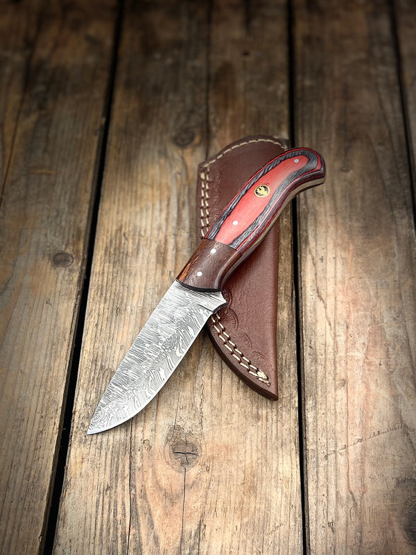 7.5" Red Wood & Walnut Damascus Skinner/EDC Knife