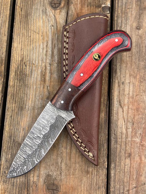 7.5" Red Wood & Walnut Damascus Skinner/EDC Knife